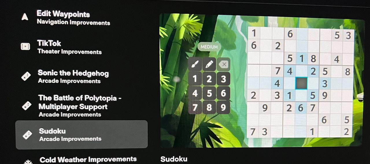 Подарок к рождеству: в мультимедиа Tesla появилась поддержка TikTok